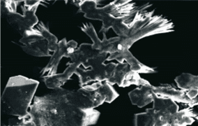 Lime deposits in untreated water. Magnification: 250x.