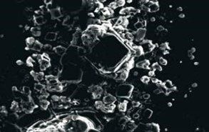 Lime deposits in water treated with QMT Collar. Magnification 250x.