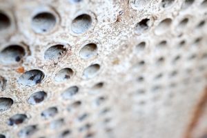 Heat exchanger opened for inspection.