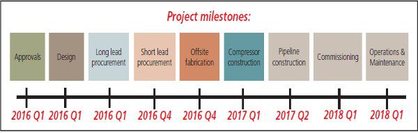 Project Milestones