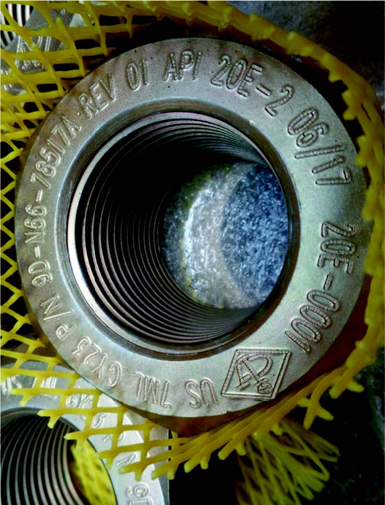 Figure 1: Example of API 20E marking.