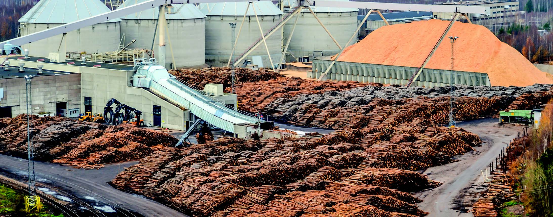 Timber yard in a pulp mill