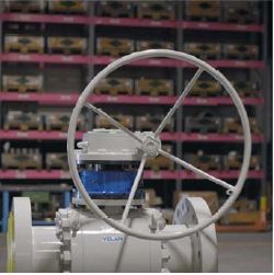 Asset management for quarter turn valves