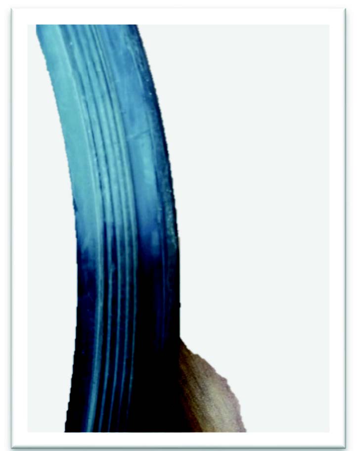 Figure 1: Seal shape with calculated bolts tightening torque.