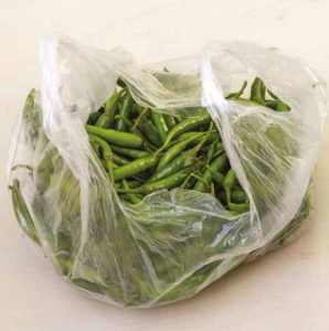 polythene bag