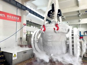 Low-temperature test