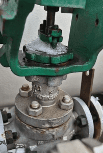 Stem seal leakage in a control valve