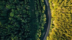 TEADIT: sealing for a safer and greener tomorrow