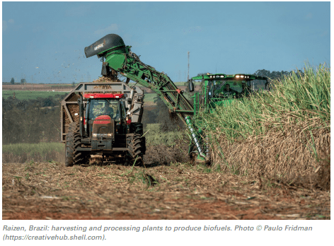 Tech Talk Bioenergy 4