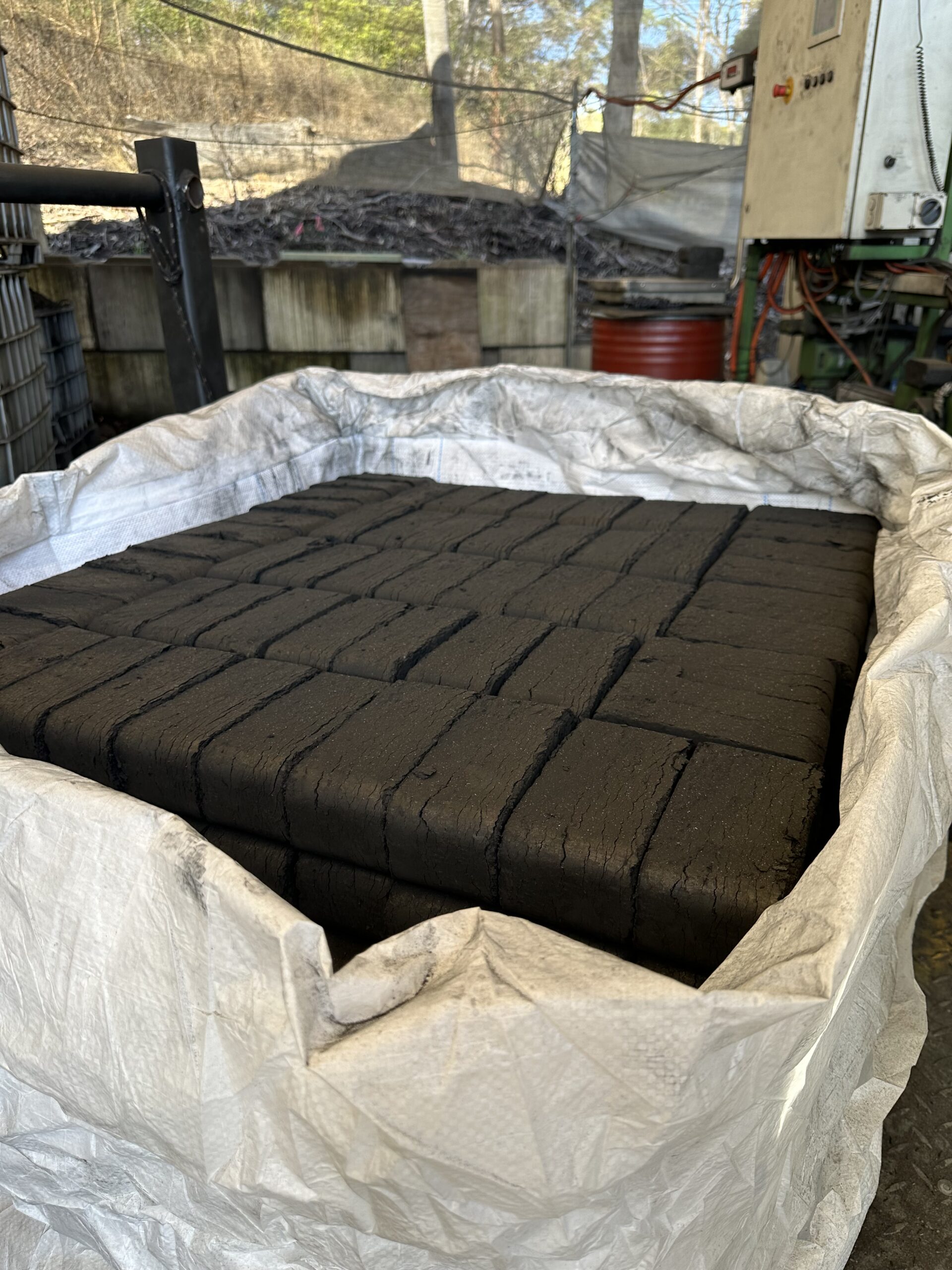 BioCarbon boasts a product that enables steelmakers to decrease their carbon footprint without incurring large capital costs.