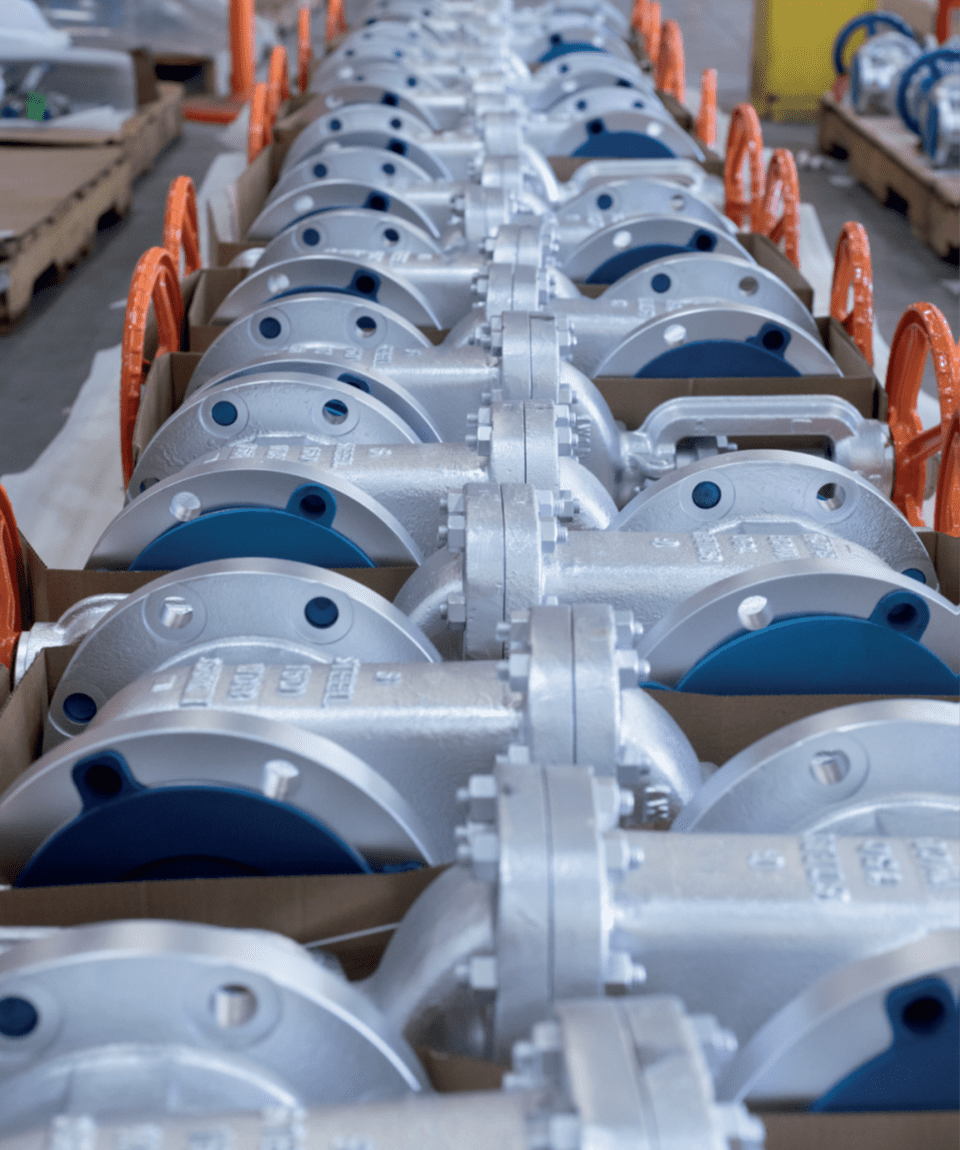 Distributors, importers, and retailers may absorb initial costs, but price increases ripple through the supply chain.