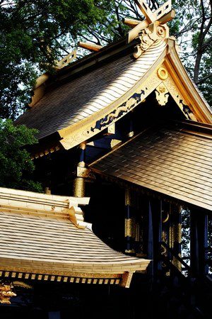 Using Ion-Plating (IP) technology, this titanium roof is an ideal substitute for gold-leaf with its titanium nitride material color. The membrane is strong, and it can be used with confidence in an environment where the gold-leaf could peel off. The color tone will not change over 100 years according to the acceleration test result. The material can also be folded after IP.