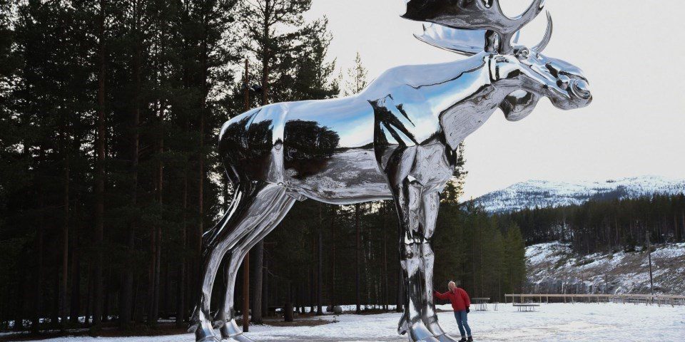 Strange but true… The Big Elk