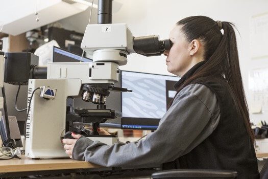 Microstructure examination