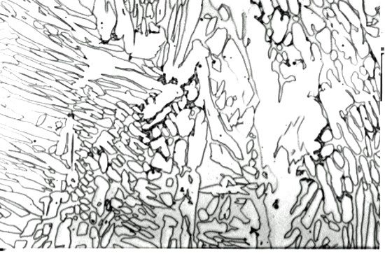 Fig 2 Figure 2. Duplex microstructure with black spots of precipitated intermetallic phases.