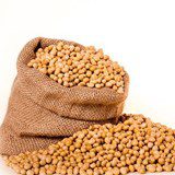 BASF-Gemüsesaatgut: Bayer zeigt Interesse BASF-Gemüsesaatgut: Bayer zeigt Interesse