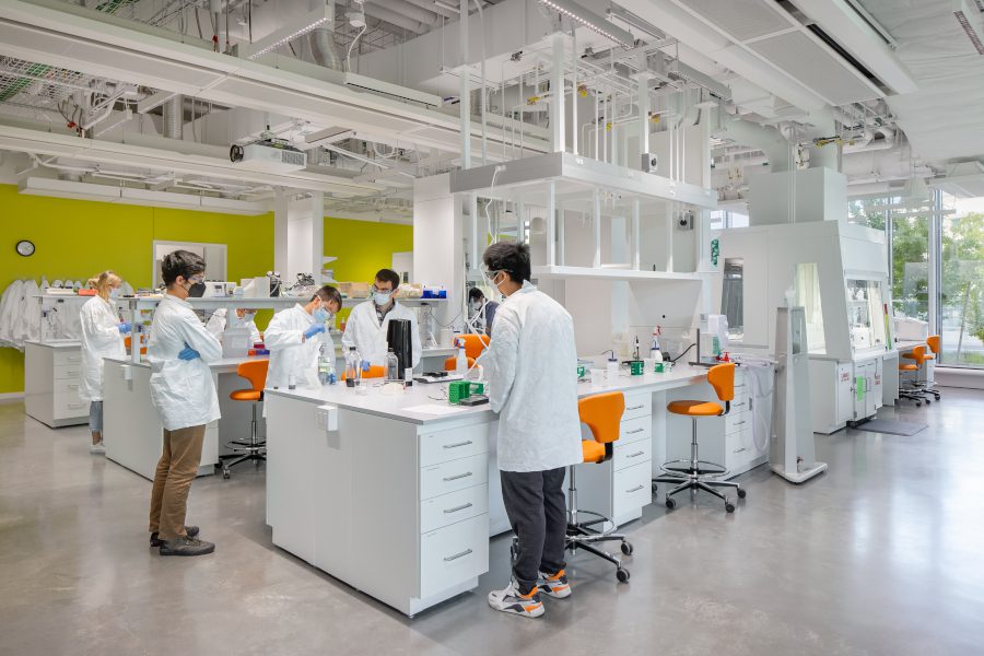 Nachhaltige Brillanz für Harvard