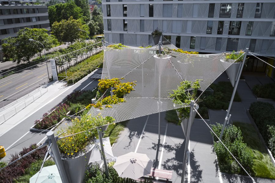 Grünes Schattendach in Oerlikon