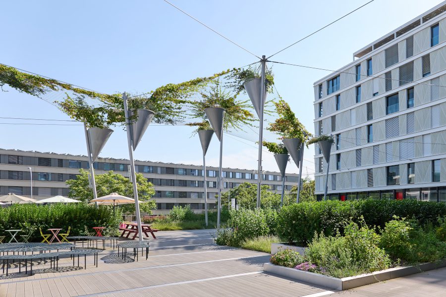 Grünes Schattendach in Oerlikon
